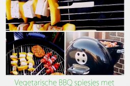 Vegetarische barbecue spiesjes met mango en tofu