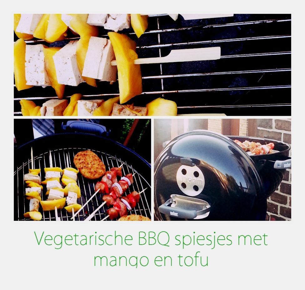 Vegetarische barbecue spiesjes met mango en tofu