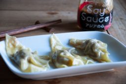 Asian cuisine: Japanse gyoza