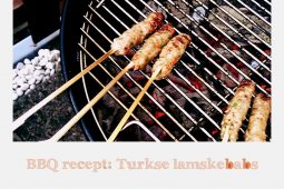 Barbecue recepten: Turkse kebab met lamsvlees