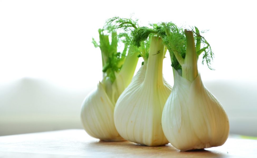 26 x de lekkerste venkel recepten