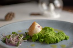 Coquille op een bedje van erwten (luxe voorgerecht)