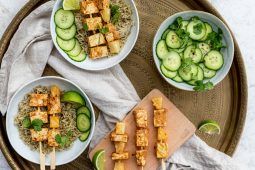 Vegetarische tandoori spiesjes met rijst en komkommer